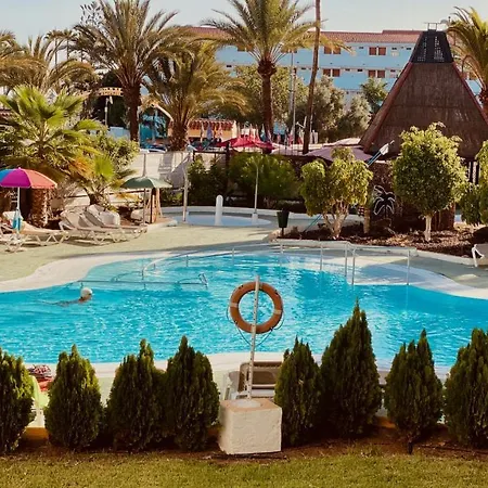 Paradise In *